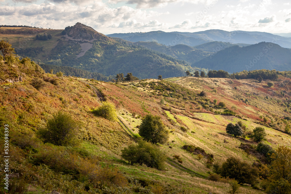 Paysage agricole des Monts d'Ardèche, collines, pâturages, vallons et forêts