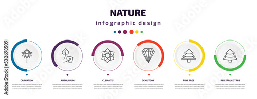 nature infographic element with icons and 6 step or option. nature icons such as carnation, anthurium, clematis, gemstone, pine tree, red spruce tree vector. can be used for banner, info graph, web,