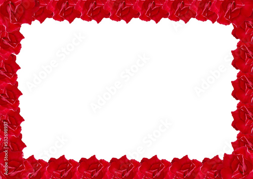 Red Flowers Frame on White Background, Red Desert Rose.