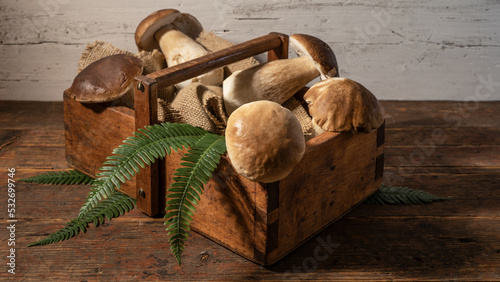 Food photography background - Forest mushrooms   Boletus edulis  king bolete    penny bun   cep   porcini   mushroom and fern in basket box on old wooden board on table