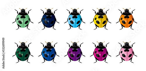 vibrant ladybug カラーテントウムシ set1 photo
