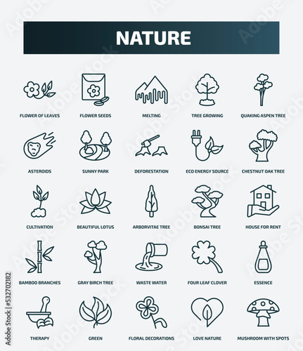 set of 25 special lineal nature icons. outline icons such as flower of leaves, flower seeds, quaking aspen tree, deforestation, cultivation, bonsai tree, gray birch tree, essence, floral