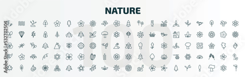 set of 100 special lineal nature icons set. outline icons such as rosemary, cucumber tree tree, red pine tree, gladiolus, dandelion, anemone, maple, balsam fir astrantia, branch line icons.
