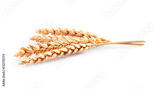 Wheat close up on white backgrounds.