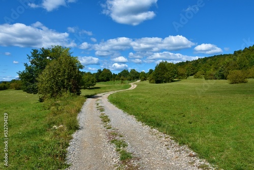Gravel road leading across countryside near Pivka in Notranjska, slovenia