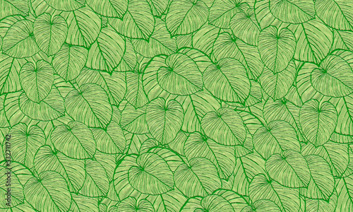 green tropical leaves pattern abstract spring nature wallpaper design background