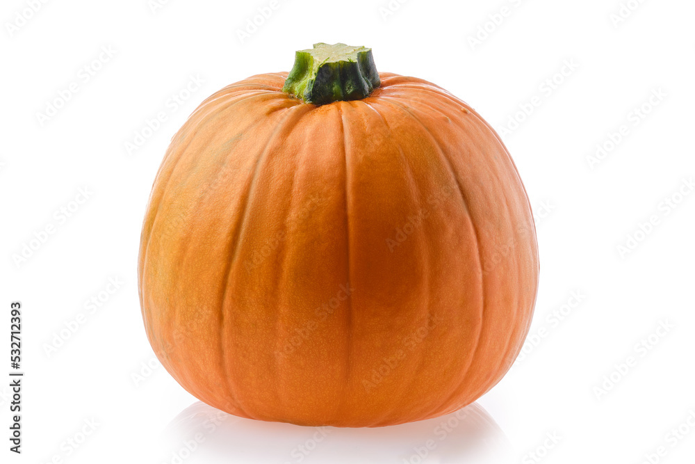 Whole pumpkin isolated on white Whole pumpkin isolated on white