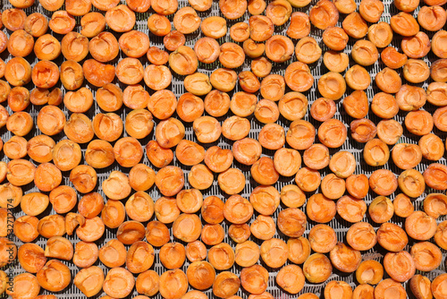 Many halved apricots on metal drying rack  flat lay