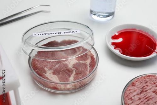 Sample of cultured meat on white lab table
