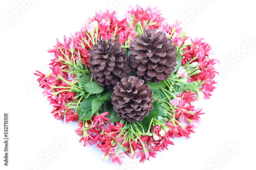 Flowers of pine on Combretum indicum 