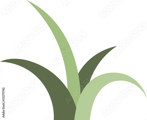 Green Grass Isolated Illustration on Transparent Background