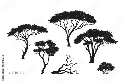 African trees black silhouettes. Isolated savannah plants. Wild forest acacia. Natural landscape elements. Australian wood set