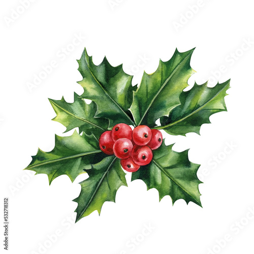 Holly leaves decoration with red berries isolated on white background. Watercolor Element for design.