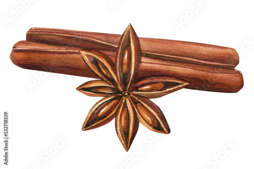 Watercolor Cinnamon sticks and star anise isolated on white background. Element for design.