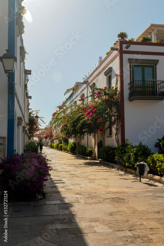 old town street with flowers