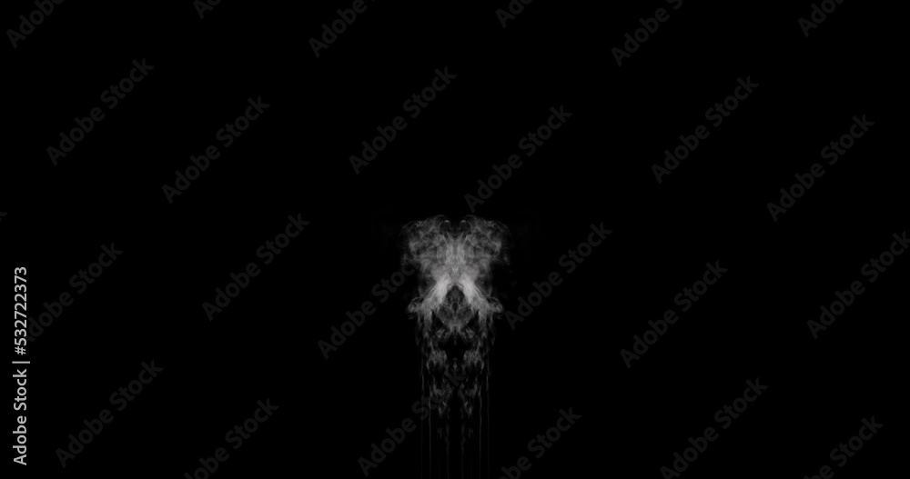 Wide shot of mirrored wispy streams of smoke slowly building into a cloud in the center of the frame, making strange shapes and patterns as it moves upwards.