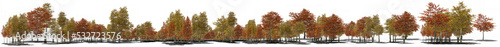 colorful autumn treeline xxl photo