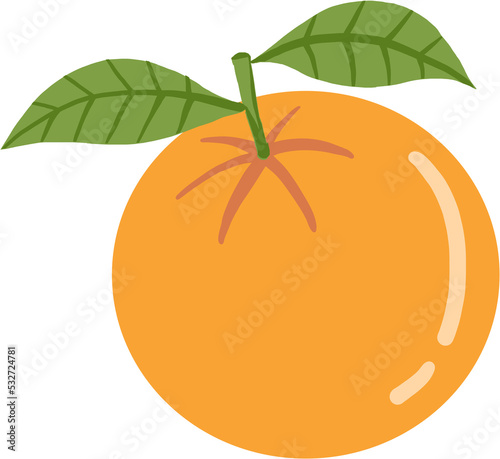 doodle freehand sketch drawing of orange fruit.