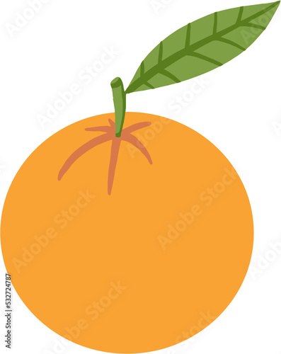 doodle freehand sketch drawing of orange fruit.