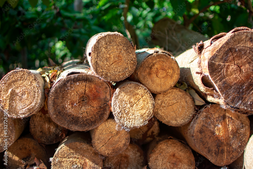 stack of logs