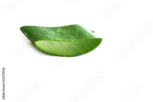 aloe vera leaf