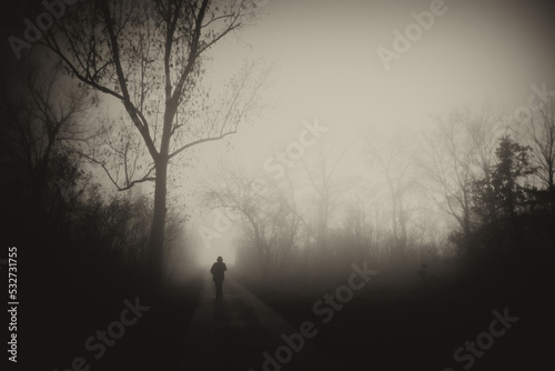 Fototapeta Naklejka Na Ścianę i Meble -  	
Silhouette of man walking through park down the footpath on a misty winter day in sepia tones
