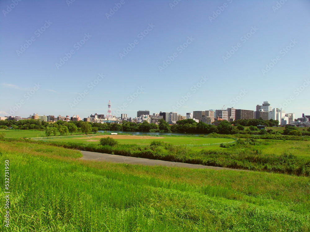 初秋の江戸川土手から臨む河川敷と松戸市街地風景