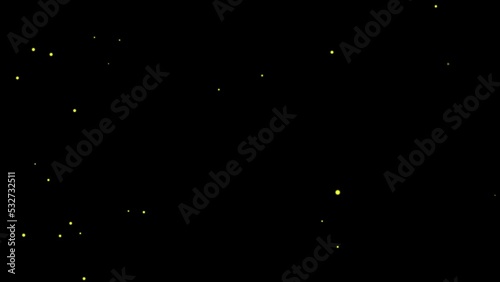 Swarm of fireflies. Set of 2. Black background. Overlay. Isolated flying insects. 25 fps