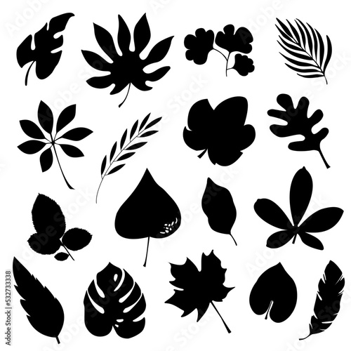 Set of fall leaves. silhouettes isolated vector leaf
