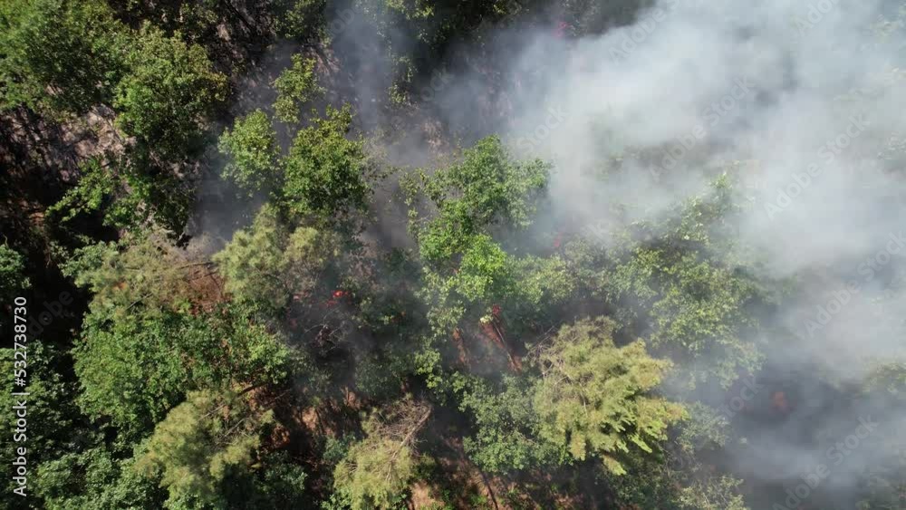 Firefighter truck and fire in the forest. Firefighter car inside the forest. Natural Disaster. Climate Change. Fire and Smoke in Forest Aerial View Firefighter truck and fire in the forest. Firefighter car inside the forest. Natural Disaster. Climate Change. Fire and Smoke in Forest Aerial View