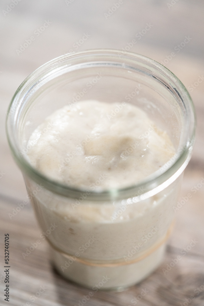 Sourdough starter Sourdough starter