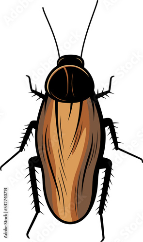 Surinam roach isolated cartoon cockroach insect photo