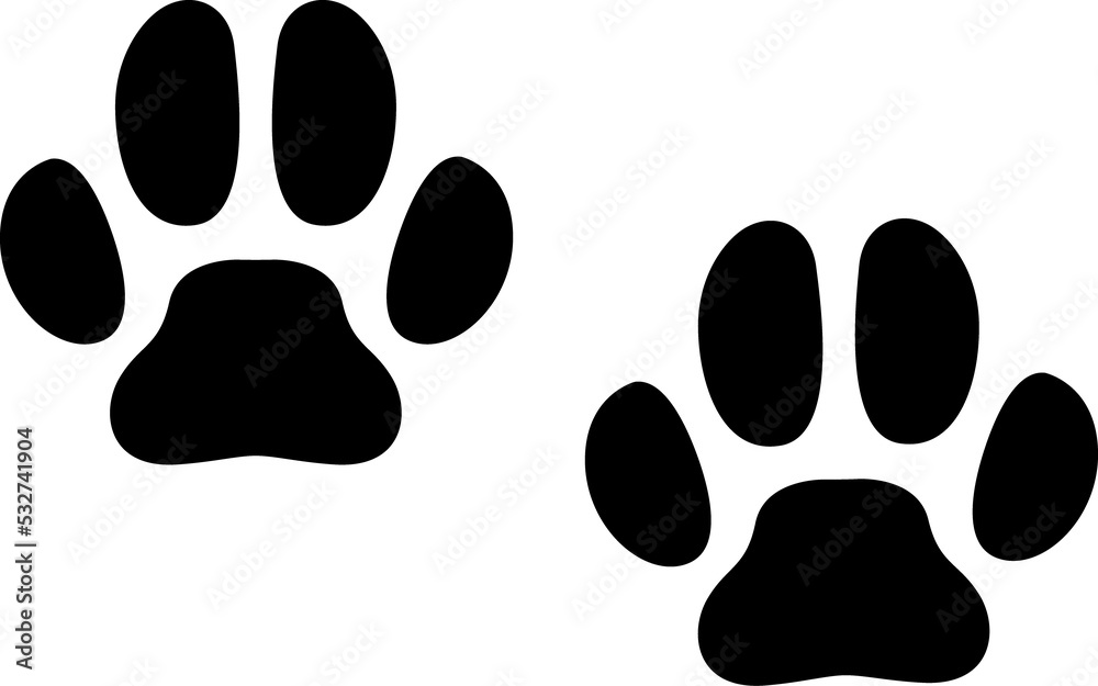 Lynx wild animal paw imprints wild cat step trail Lynx wild animal paw imprints wild cat step trail