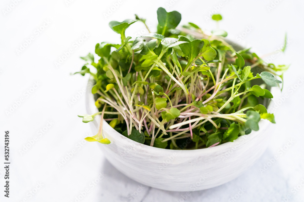 Microgreens Microgreens