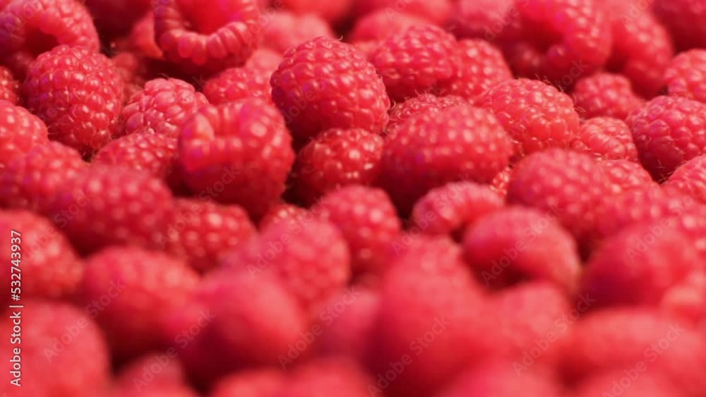 Fresh Raspberries, Close Up. Red Juicy Sweet Fruit, Selective Focus Fresh Raspberries, Close Up. Red Juicy Sweet Fruit, Selective Focus