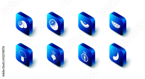 Set Orange fruit, Melon, Watermelon, Eggplant, Tomato, Beet, Mushroom and icon. Vector
