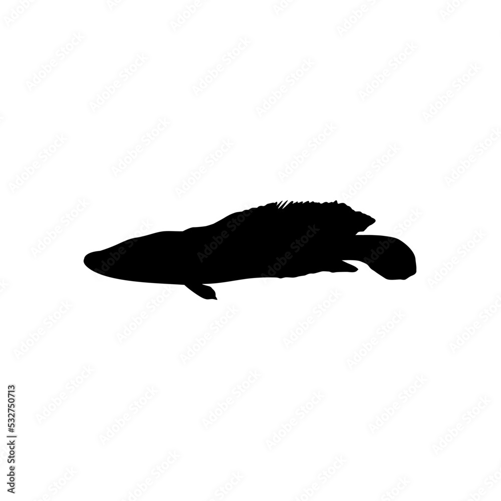 Snake Head Fish (freshwater perciform fish family Channidae) Silhouette for Logo, Pictogram or Graphic Design Element. Vector Illustration 