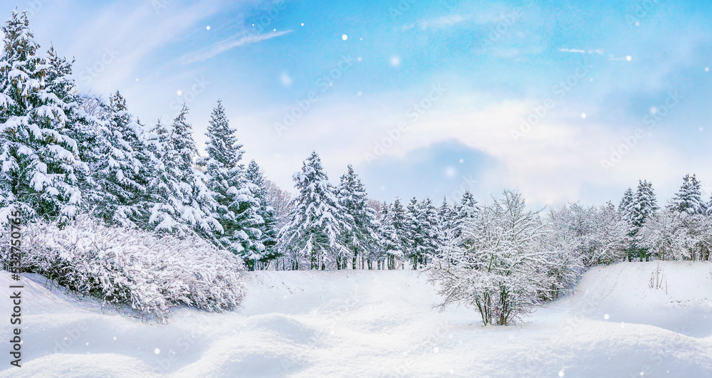 Beautiful panorama of nature of winter forest with frozen trees, snow-covered firs, snowdrifts and light snowfall against a cold blue sky. Beautiful panorama of nature of winter forest with frozen trees, snow-covered firs, snowdrifts and light snowfall against a cold blue sky.