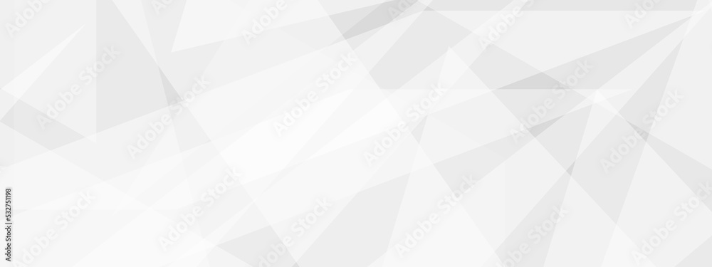 Fototapeta premium Abstract background with lines Background white and texture gray elegant wallpaper, soft clean wave template with bright line pattern, Geometric design .Texture Of Crumpled and paper texture design . 