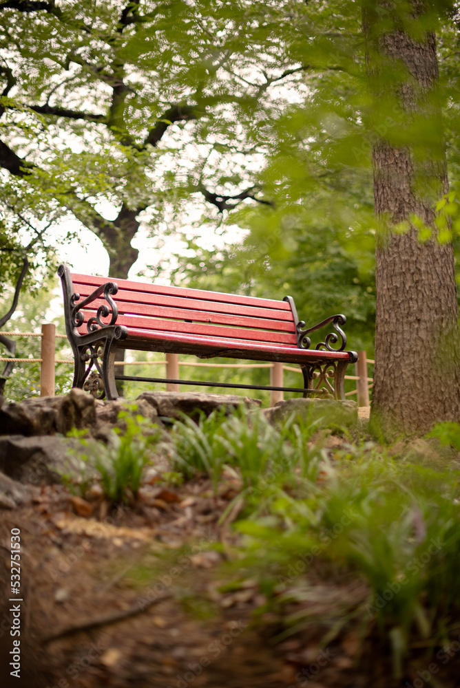 Naklejka premium Bench in a quiet atmosphere