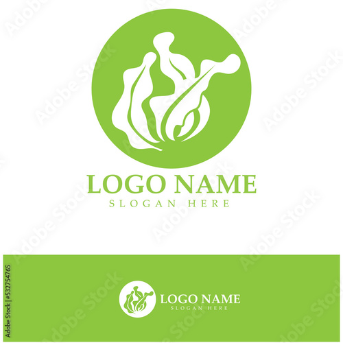 Seaweed vector logo icon illustration design.includes seafood,natural products,florist,ecology,wellness,spa.