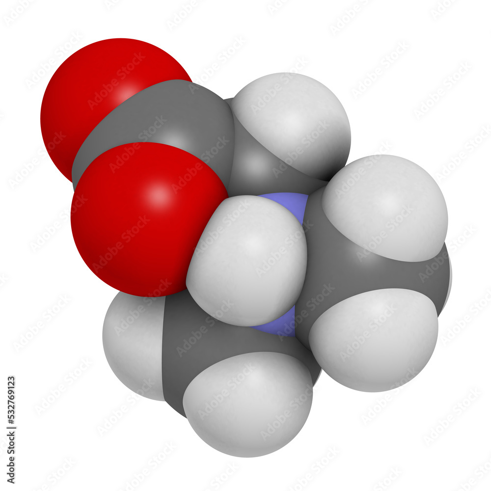 Dimethylglycine (DMG) molecule. 3D rendering. Methylated derivative of glycine, used in performance enhancing nutritional supplements. Dimethylglycine (DMG) molecule. 3D rendering. Methylated derivative of glycine, used in performance enhancing nutritional supplements.