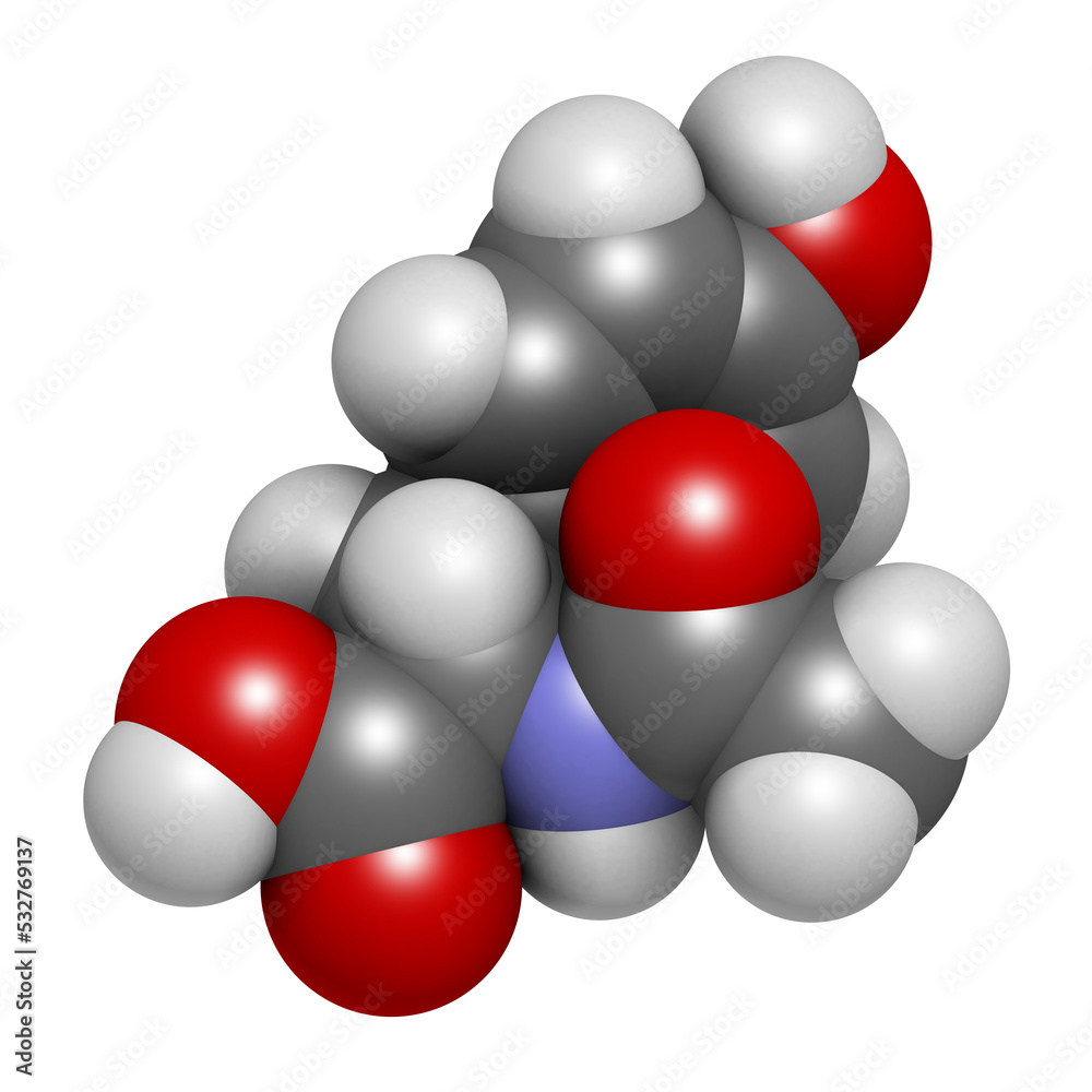 N-acetyl-tyrosine (NALT) molecule. 3D rendering. Acetylated form of the amino acid tyrosine. N-acetyl-tyrosine (NALT) molecule. 3D rendering. Acetylated form of the amino acid tyrosine.