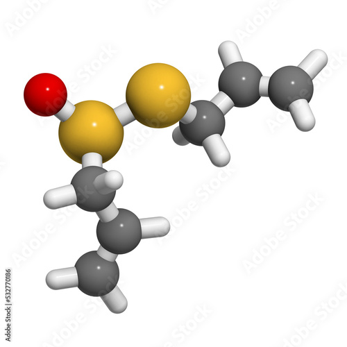 Allicin garlic molecule. 3D rendering.  Formed from alliin by the enzyme alliinase. Believed to have a number of positive health effects. photo