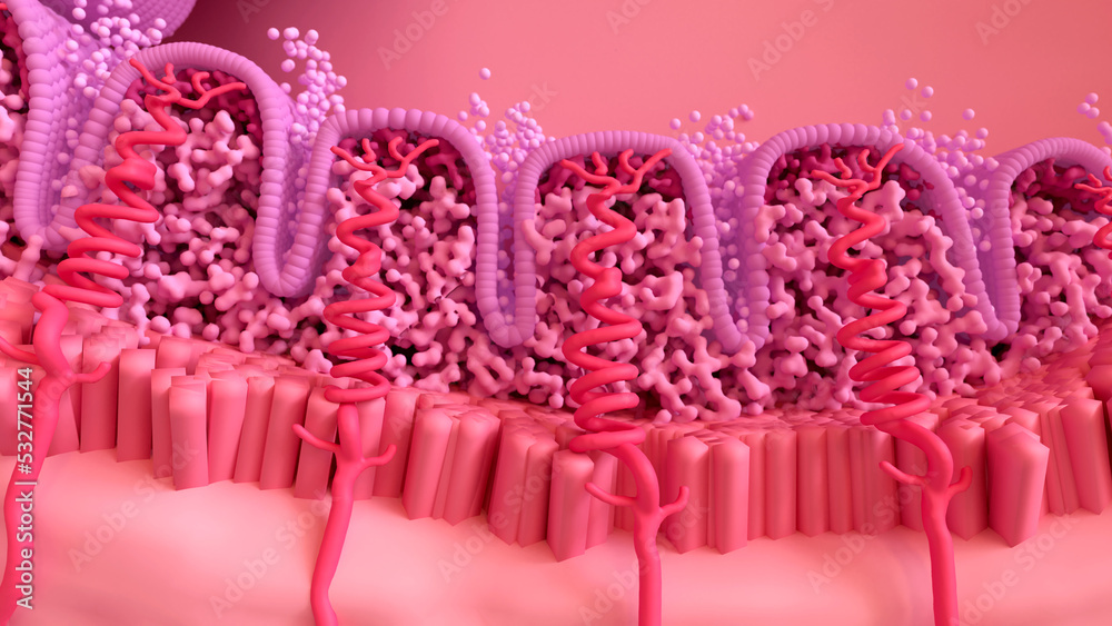 Menstrual Cycle, Bleeding Menstrual Period. Menstruation phases