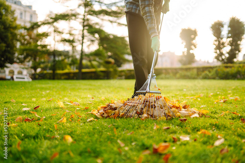 Rake and pile of fallen leaves on lawn in autumn park. Volunteering, cleaning, and ecology concept. Seasonal gardening. 
