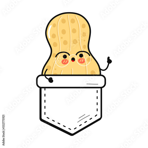 Cute funny peanut pocket t-shirt print.Vector cartoon doodle line style character logo illustration design. Isolated white background. Funny cartoon peanut print for pocket t-shirt