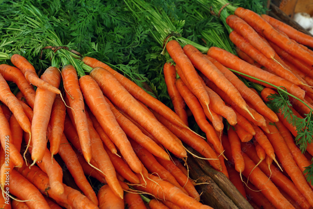 Close up heap of fresh new carrot crop Close up heap of fresh new carrot crop