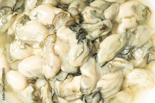 Fresh oyster meat in a simple background