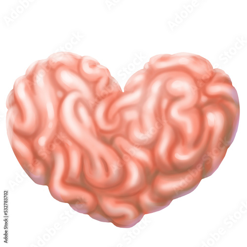 cuore di cervello photo